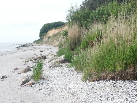 Uferweg Grömitz Steilküste